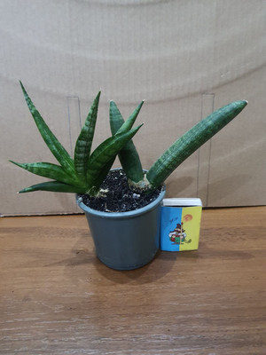 Фото №1 class=