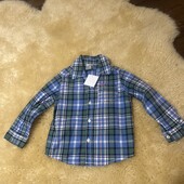 На-24 мес Carter’s