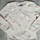 Lupilu брендовый теплый свитшот на девочку рост 110/116 см