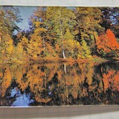 Календарик СРСР 1981