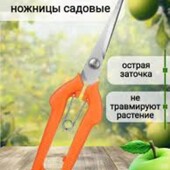 Прямой садовый секатор (21 см)