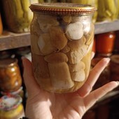 Баночка білих грибів)))))