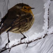 Пододеяльник 240/220