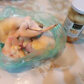 Домашнє молоде курча порізане + банка грибів