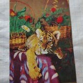 Календарик СРСР 1984