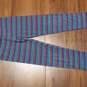 *Лосіни 116-122