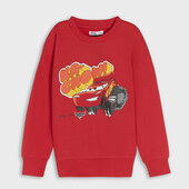 Світшот з начосом.один на вибір.розмір 128 синсей