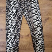 Б'в Лео в гарному стані