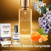 Marc-Antoine Barrois Ganymede 