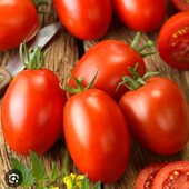 Томат Ріо Гранде, 20 насінин
