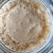 Хлібна закваска левіто мадре (біла) і житня