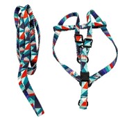 Набор для животных " поводок и шлея"( цвет случайный)