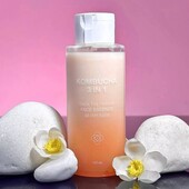 Тонік есенція Moday Kombucha,150мл