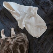 Худі для котика