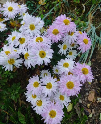 Фото №1 class=