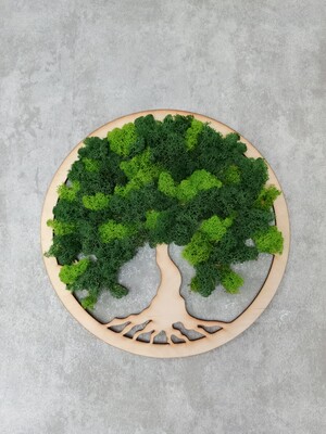 Фото №1 class=