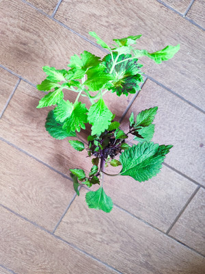 Фото №1 class=