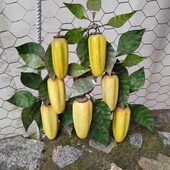 Перец садовый интерьерный декор