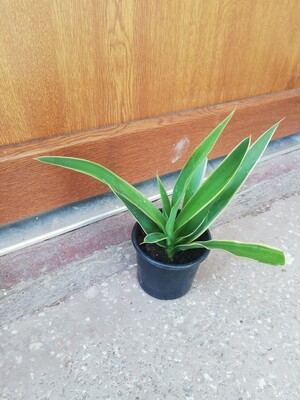 Фото №1 class=