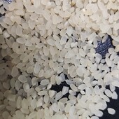 Рис круглий крупа лот 4 кг