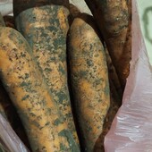 Морква домашня лот 4 кг