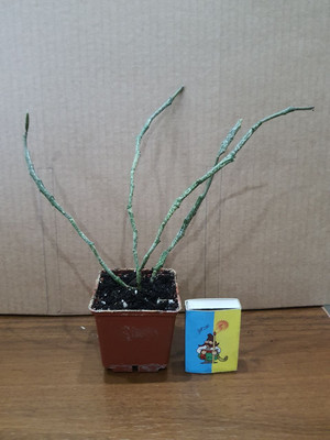 Фото №1 class=