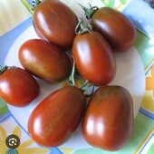 Томат Чорна сливка, 20 насінин