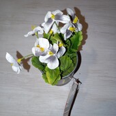 Штучні квіти горошок в жестяній банці Next