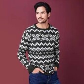 Арт.1067 светр чоловічий livergy євро розмір L 52/54.