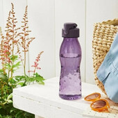 Пляшка для пиття Ягідна Ernesto 700мл Нідерланди