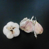 Домашний чеснок