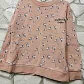 Реглан 128 см на дівчинку