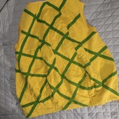 Об'ємний костюм ананас