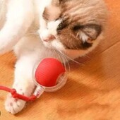 Игрушка для домашних любимцев читать лот