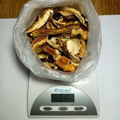 Сушені гриби. Карпатські 2025 року. 100 грам