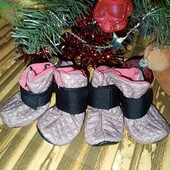 Ботиночки для собачки