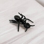 іграшка-липучка "мураха"