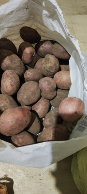 Фото №1 class=