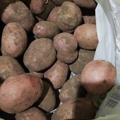 Картопля домашня лот 10 кг