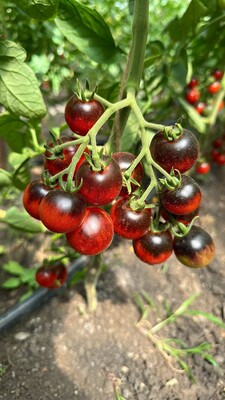 Фото №1 class=