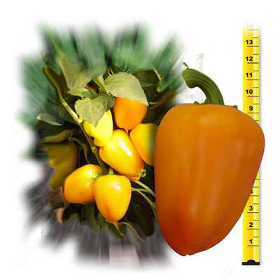 Фото №1 class=