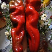 .Перець солодкий Джузеппе Нардієлло, 15 насінин,