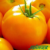 Satimex , Німеччина. 30 насінин!!!Томат Золота королева