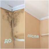 Антипліснява 3 л