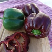 Moravo Seed ( Чехія). 30 насінин!!!Перець Інгрід. Крупноплідний, солодкий.