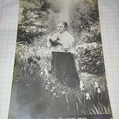 Листівка царська