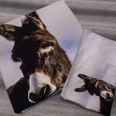 Яркий двуспальный пододеяльник 195х195 см. с одной наволочкой 50х72 см.