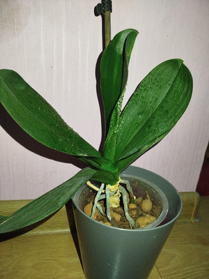 Фото №1 class=