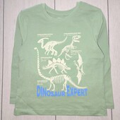 Реглан Primark, 3-4р / 104см