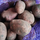 Картопля домашня лот 10 кг